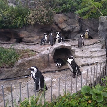 サンシャイン水族館に投稿された画像（2021/7/12）