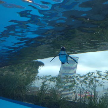 サンシャイン水族館に投稿された画像（2021/7/12）
