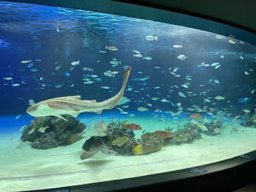 サンシャイン水族館に投稿された画像（2021/7/12）