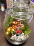 苔工房アイモスに投稿された画像（2021/7/12）