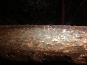 地底王国「美川ムーバレー」に投稿された画像（2021/7/12）