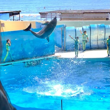 新江ノ島水族館に投稿された画像（2021/7/12）