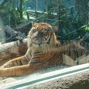 神戸どうぶつ王国に投稿された画像（2021/7/12）