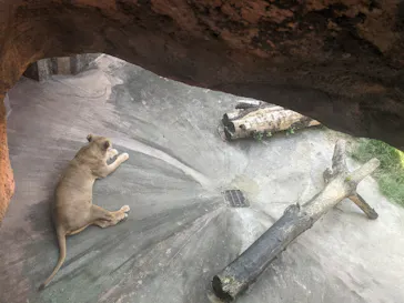 天王寺動物園に投稿された画像（2021/7/12）