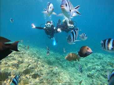 青の洞窟専門店　沖縄ダイビングショップ和に投稿された画像（2021/7/12）