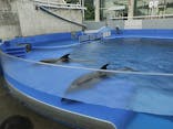 大分マリーンパレス水族館 「うみたまご」に投稿された画像（2021/7/13）