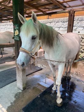 まかいの牧場に投稿された画像（2021/7/13）