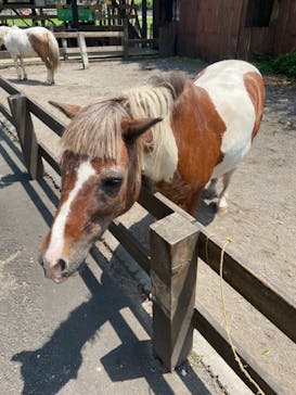 まかいの牧場に投稿された画像（2021/7/13）