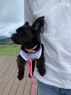 びわ湖バレイに投稿された画像（2021/7/13）