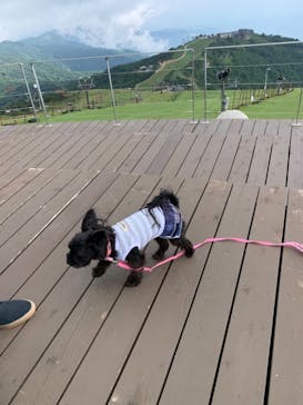 びわ湖バレイに投稿された画像（2021/7/13）