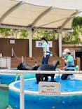サンシャイン水族館に投稿された画像（2021/7/13）