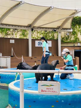 サンシャイン水族館に投稿された画像（2021/7/13）