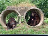 秋吉台自然動物公園 サファリランドに投稿された画像（2021/7/13）