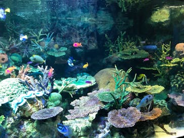 サンシャイン水族館に投稿された画像（2021/7/13）