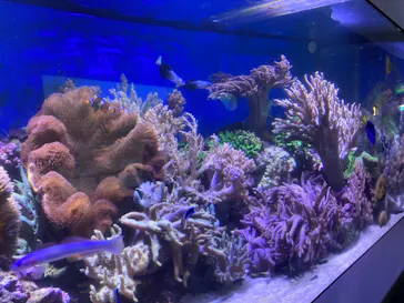 横浜・八景島シーパラダイスに投稿された画像（2021/7/13）