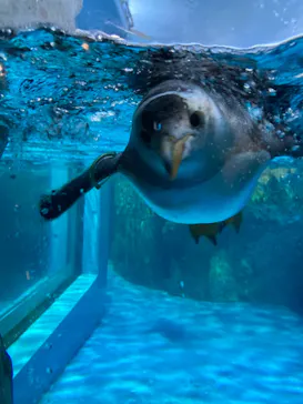 横浜・八景島シーパラダイスに投稿された画像（2021/7/13）