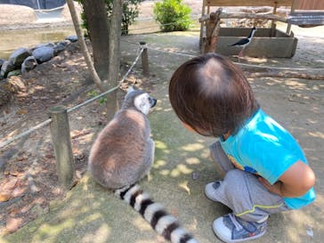 神戸どうぶつ王国に投稿された画像（2021/7/13）
