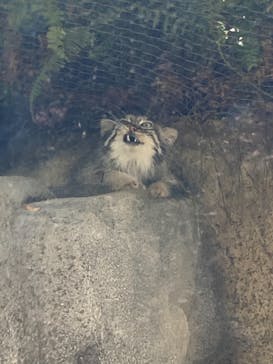 神戸どうぶつ王国に投稿された画像（2021/7/13）