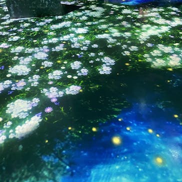 マクセル アクアパーク品川に投稿された画像（2021/7/14）