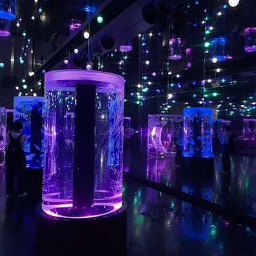 マクセル アクアパーク品川に投稿された画像（2021/7/14）