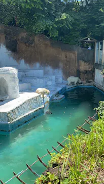 天王寺動物園に投稿された画像（2021/7/14）