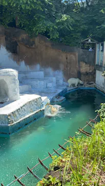 天王寺動物園に投稿された画像（2021/7/14）