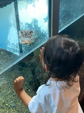 天王寺動物園に投稿された画像（2021/7/14）