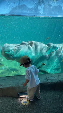 天王寺動物園に投稿された画像（2021/7/14）