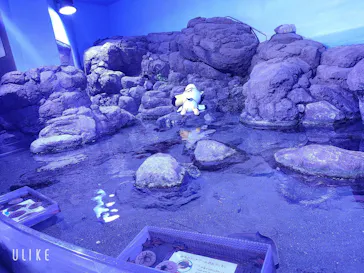 横浜・八景島シーパラダイスに投稿された画像（2021/7/14）