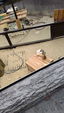 伊豆シャボテン動物公園に投稿された画像（2021/7/14）