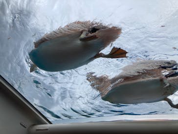 サンシャイン水族館に投稿された画像（2021/7/14）