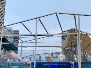 サンシャイン水族館に投稿された画像（2021/7/14）