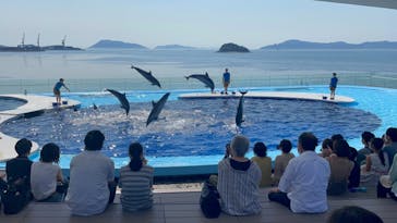 四国水族館に投稿された画像（2021/7/14）