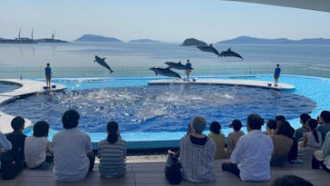 四国水族館に投稿された画像（2021/7/14）