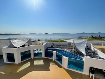 四国水族館に投稿された画像（2021/7/14）