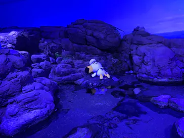 横浜・八景島シーパラダイスに投稿された画像（2021/7/14）