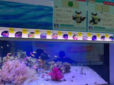 横浜・八景島シーパラダイスに投稿された画像（2021/7/14）