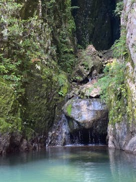 くまの・川遊び部に投稿された画像（2021/7/14）