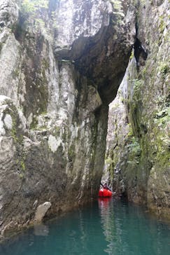 くまの・川遊び部に投稿された画像（2021/7/14）