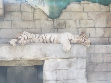 東武動物公園に投稿された画像（2021/7/14）