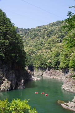 くまの・川遊び部に投稿された画像（2021/7/14）