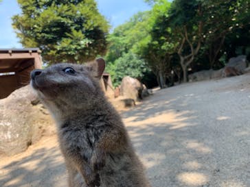 伊豆シャボテン動物公園に投稿された画像（2021/7/15）