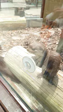 横浜・八景島シーパラダイスに投稿された画像（2021/7/15）