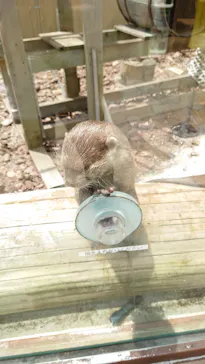 横浜・八景島シーパラダイスに投稿された画像（2021/7/15）