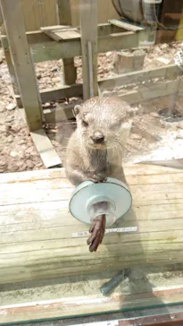 横浜・八景島シーパラダイスに投稿された画像（2021/7/15）