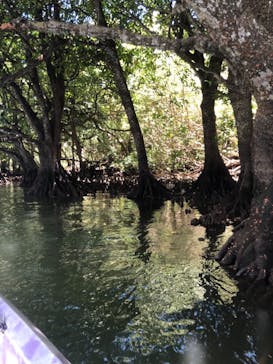 CHOROに投稿された画像（2021/7/15）