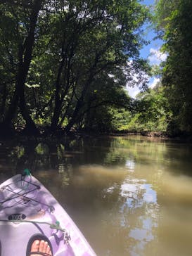 CHOROに投稿された画像（2021/7/15）