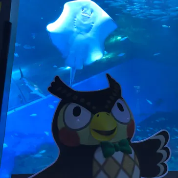 横浜・八景島シーパラダイスに投稿された画像（2021/7/15）