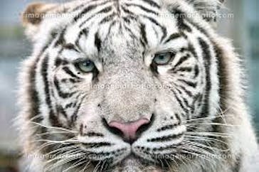 東武動物公園に投稿された画像（2021/7/15）