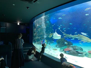 サンシャイン水族館に投稿された画像（2021/7/15）